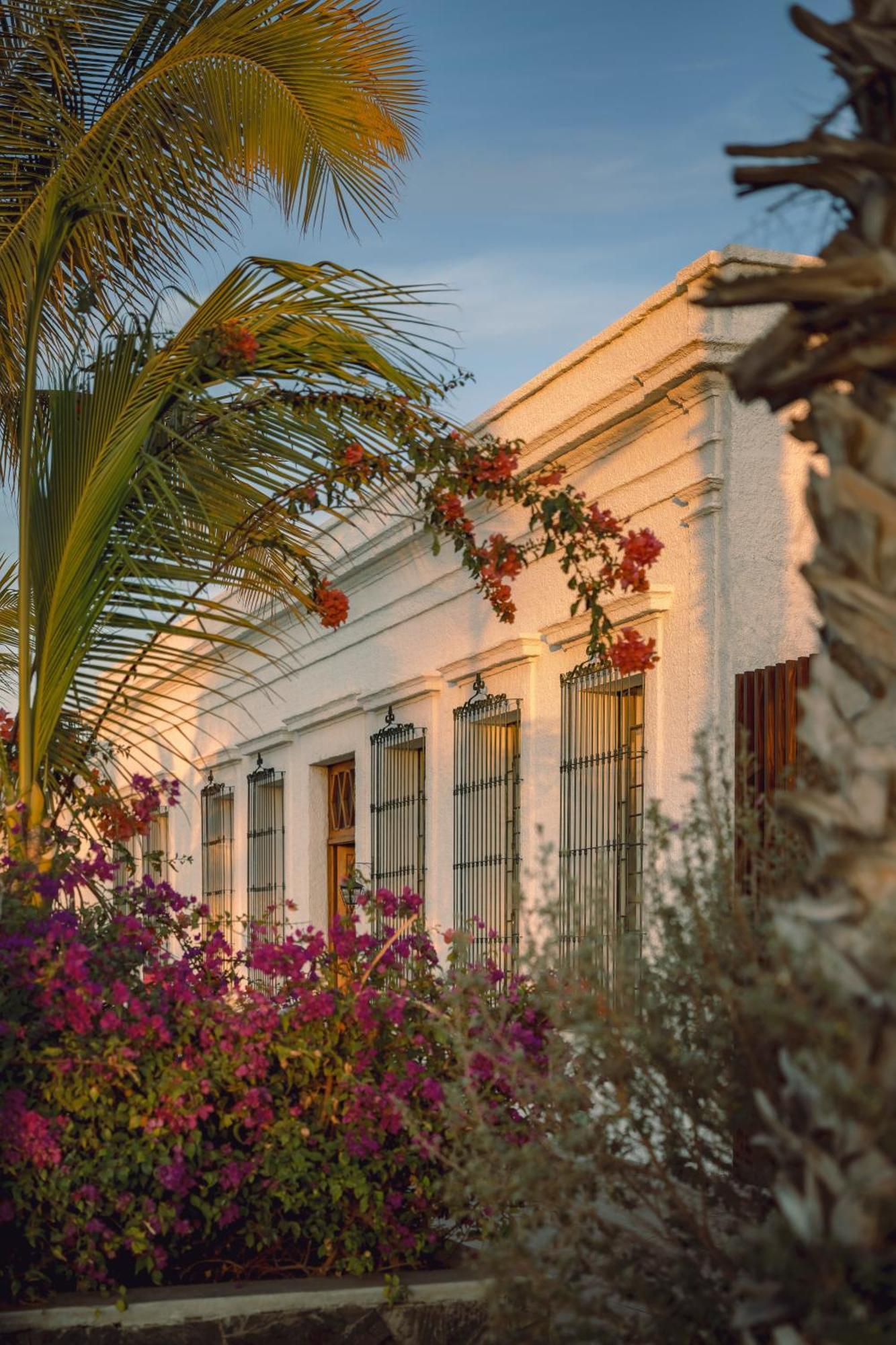 Baja Club Hotel, La Paz, Baja California Sur, A Member Of Design Hotels Kültér fotó